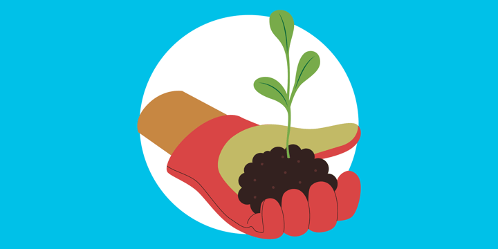 a person's hand in a gardening glove holding a seedling, symbolizing how a nonprofit utilizes quickbooks to empower youth through farming