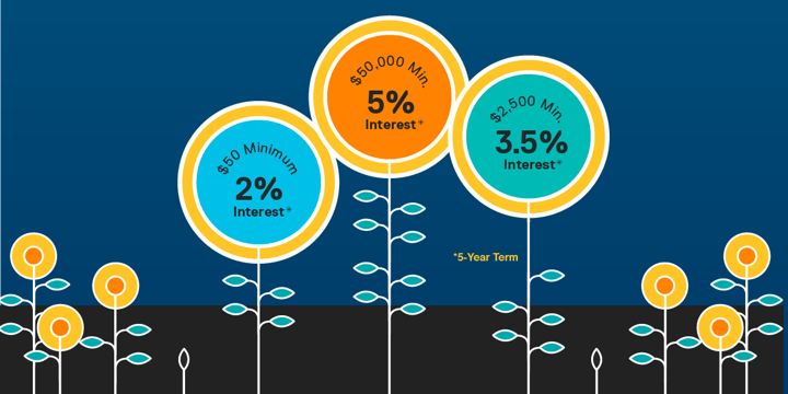 depiction of the three types of investments as flowers in a garden