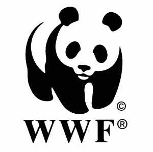 drawing of a panda with incomplete borders above the trademark WWF