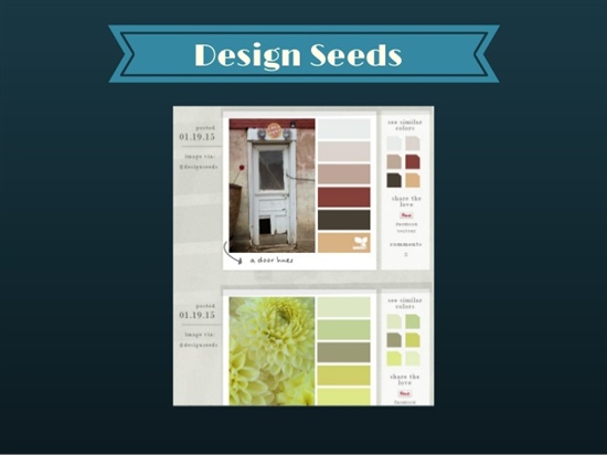 Design Seeds screenshot showing palettes and matching images