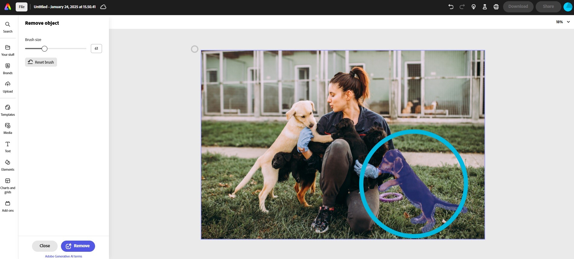 Selecting an item to remove from a photo in Adobe Express.