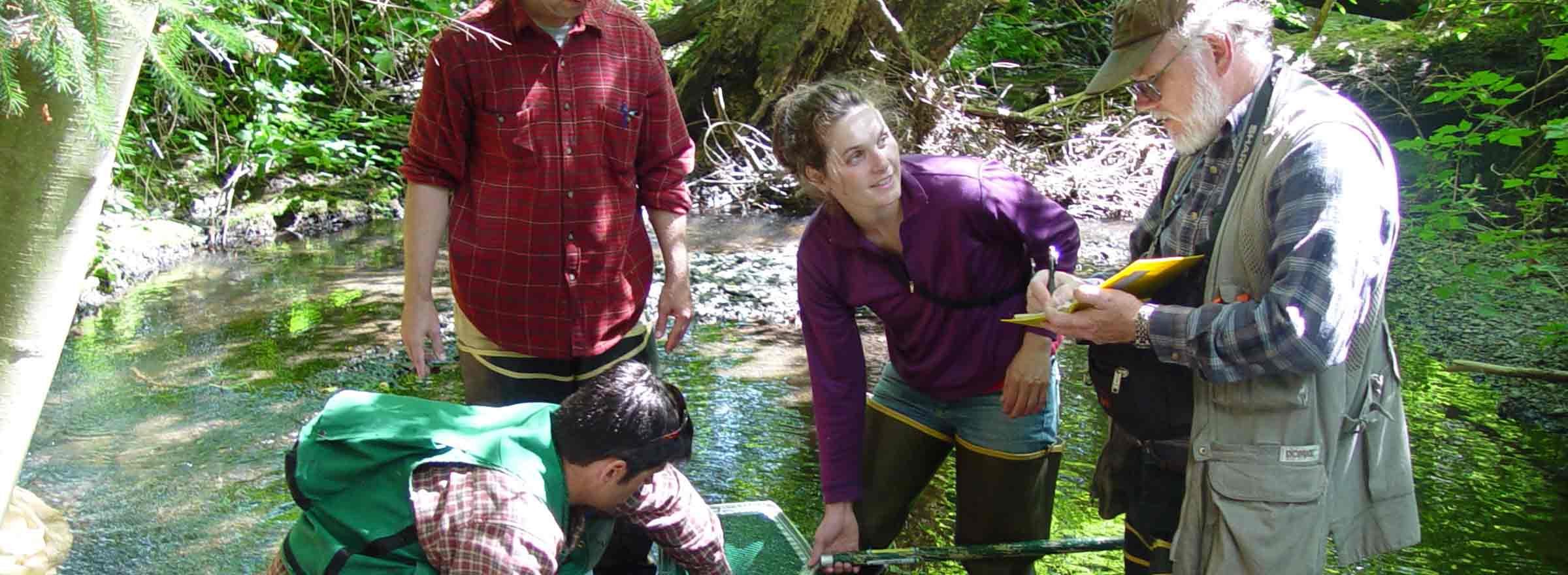 four people in a stream doing field work for Washington Water Trust