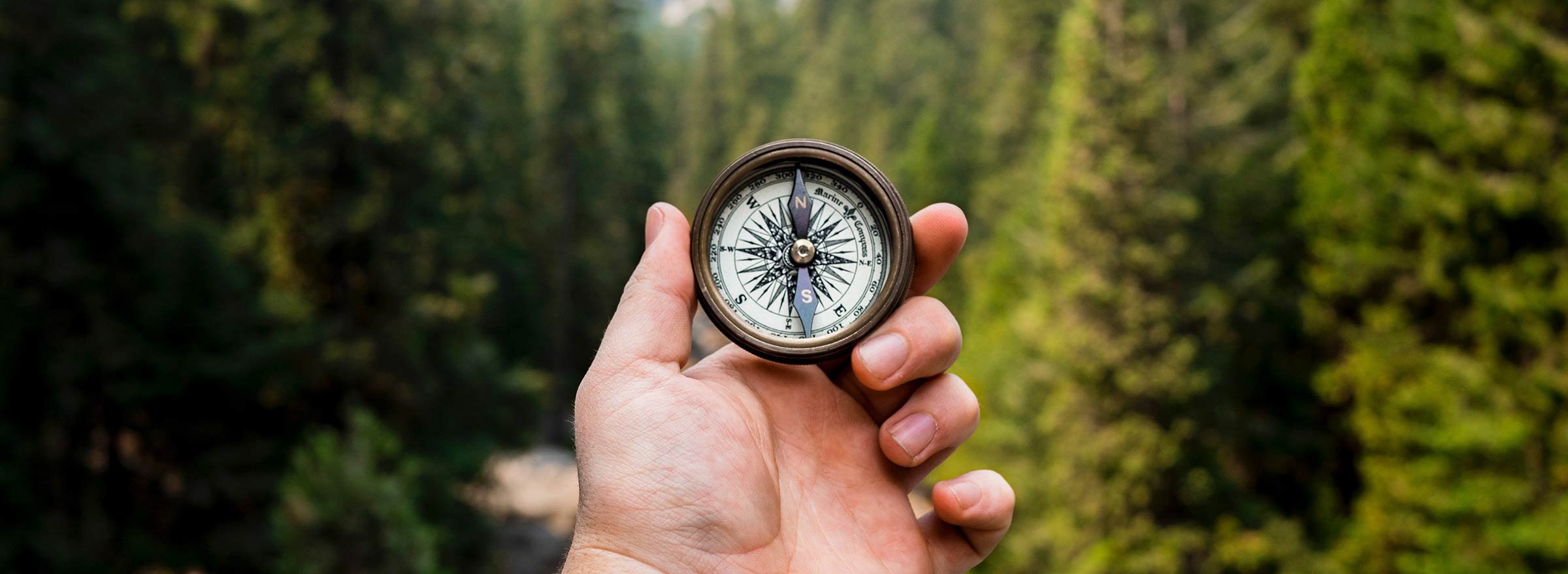 person in a forest holding a compass, representing what nonprofits can gain from TechSoup services