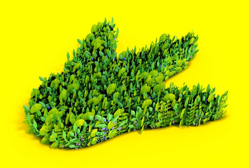 an illustration of a very leafy garden in the shape of dinosaur foot