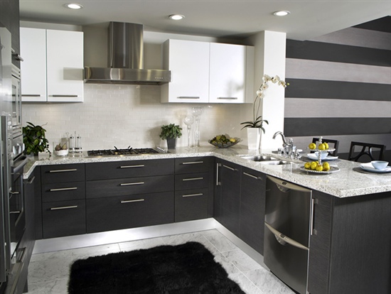 sleek, black and white kitchen interior as a symbol of CSS design
