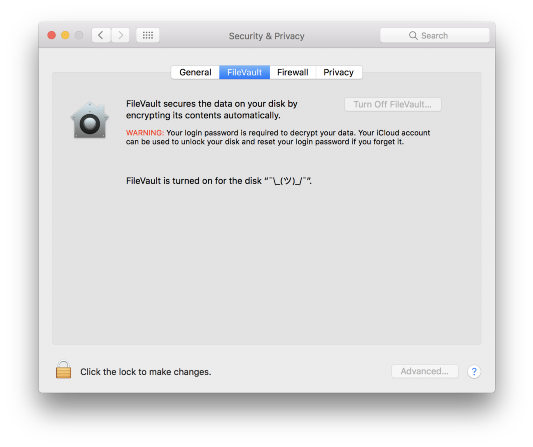 screenshot: FileVault is turned on